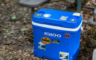 Best Igloo Coolers (2026)