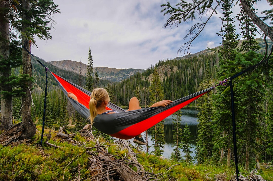 Double hammock with stand installed in a backyard without nearby trees