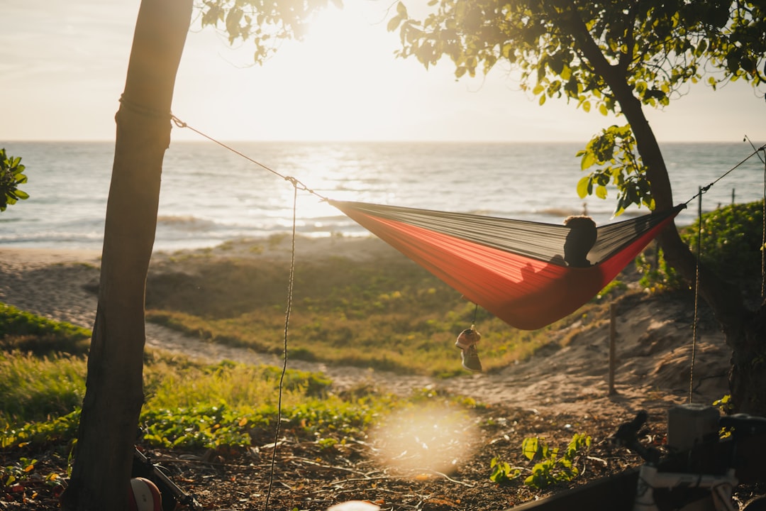 Best Hammocks With Stand in 2026