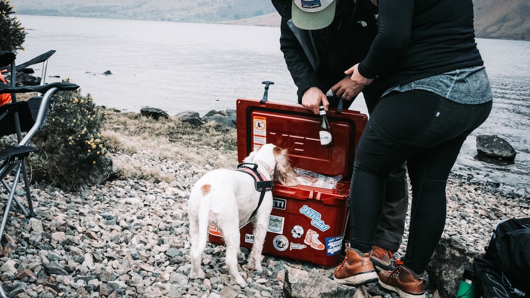 Portable cooler with wheels and handles loaded in vehicle cargo area